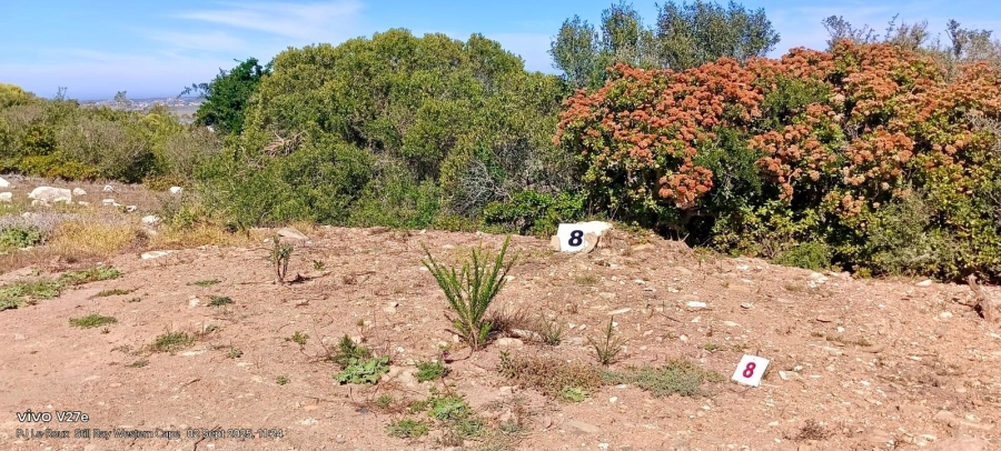 Commercial Property for Sale in Stilbaai Oos Western Cape
